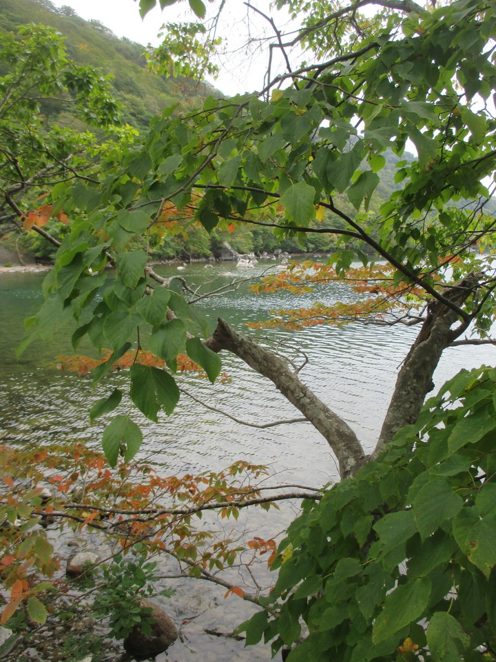 IMG_0164.JPG