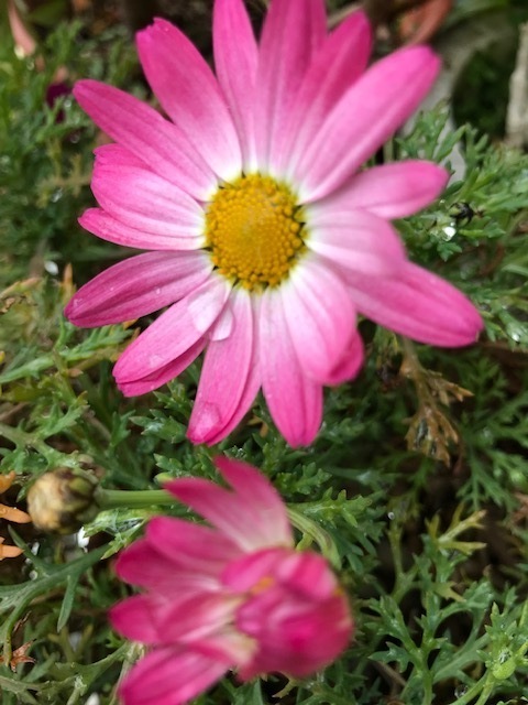 IMG_1478.jpg