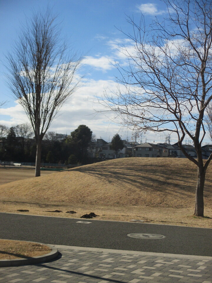 IMG_5173.JPG