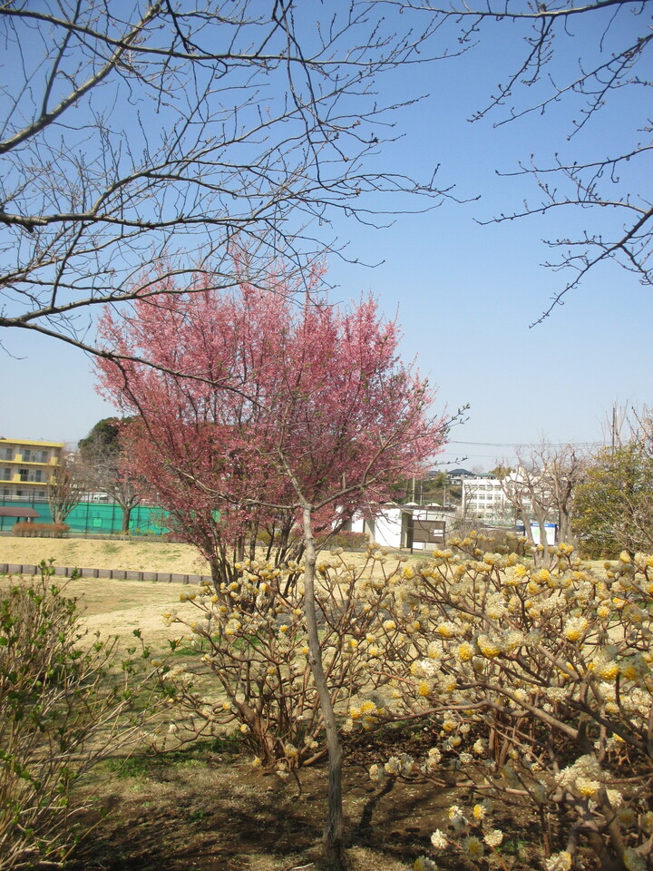 IMG_5444.JPG